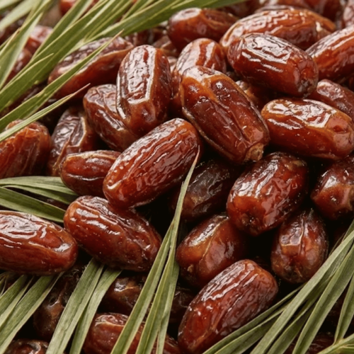 background image kurma