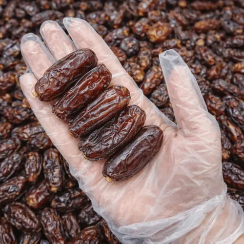 fi kurma